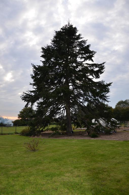 La Grange De La Gandonnerie Villa Baugé Dış mekan fotoğraf